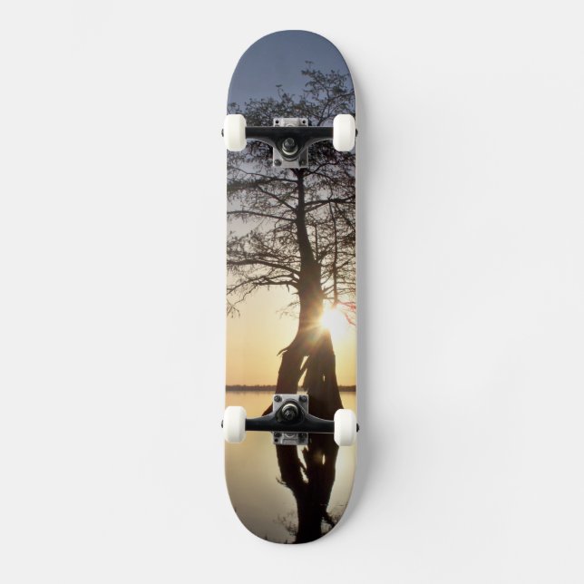 Sunset Behind a Tree Skateboard (Front)