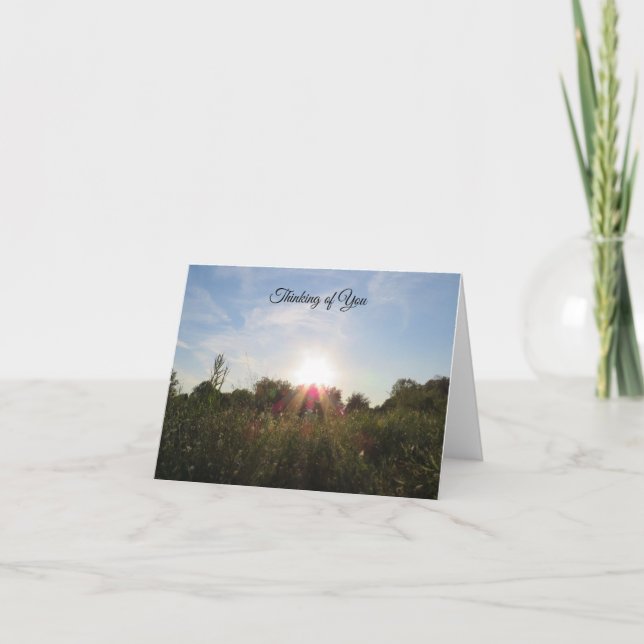 Sunset Beyond the Trees - Thinking of You Card (Front)