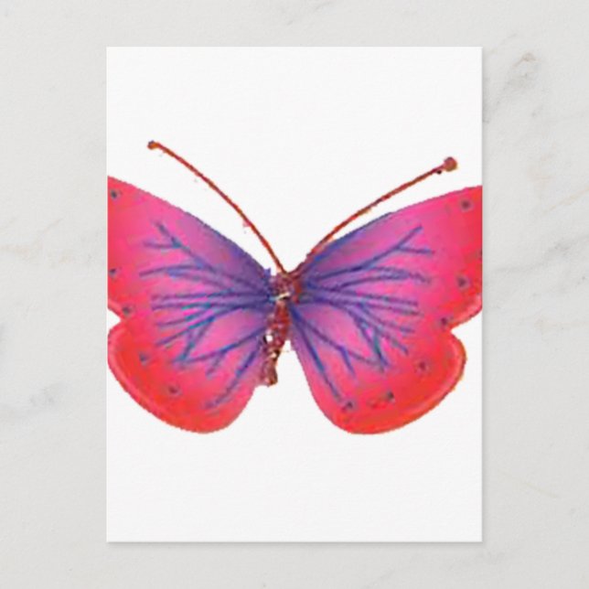 "Sunset Bloom" Red and Purple Butterfly Art Print Postcard (Front)