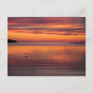 Sunset by the sea, Finland CC0157 Postcard