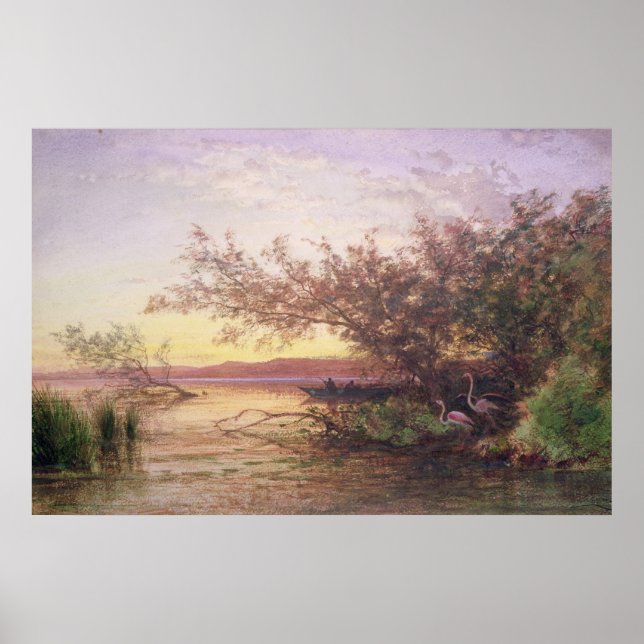 Sunset, Camargue Poster (Front)