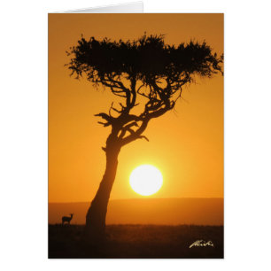Sunset Card