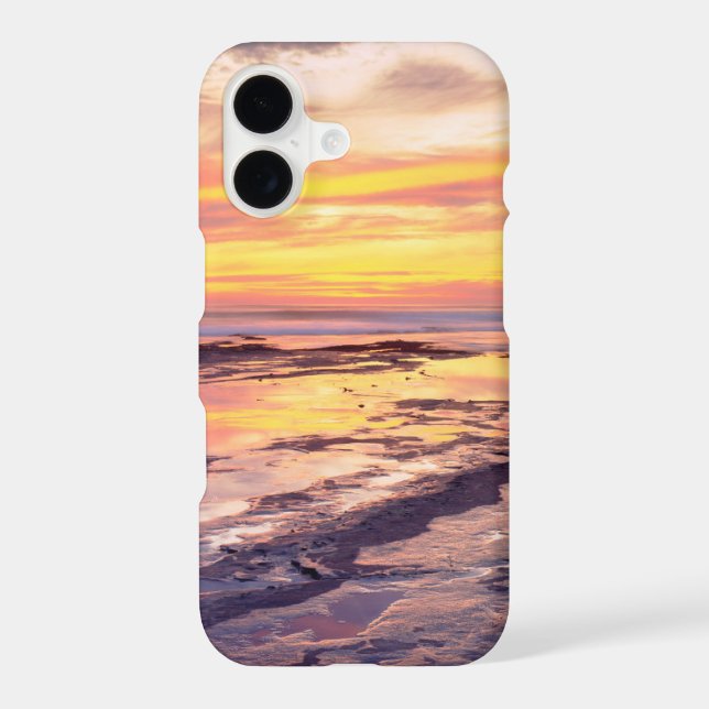 Sunset Cliffs tide pools (Back)