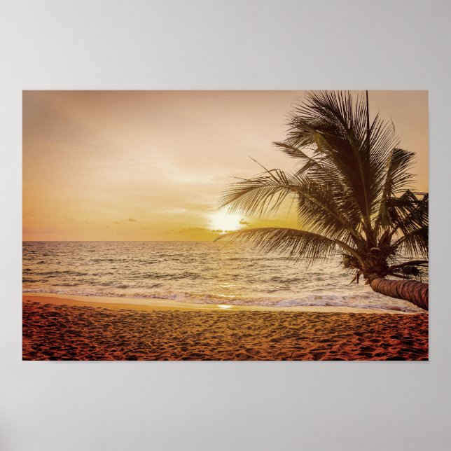 Sunset Coconut Palm on the Beach Poster (Front)