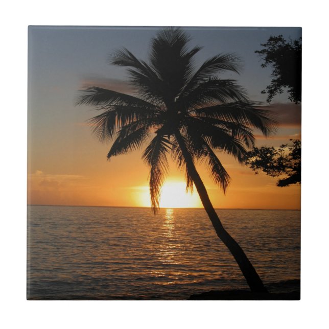 Sunset coconut palm tree Fiji peace and joy Tile (Front)