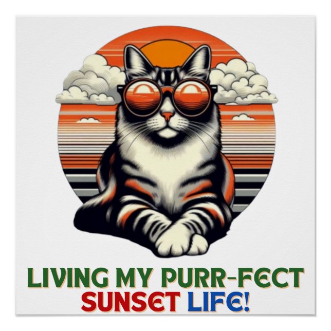 Sunset Cool Cat Poster (Front)