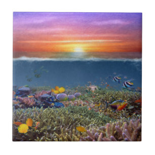 Sunset Coral Reef Tile