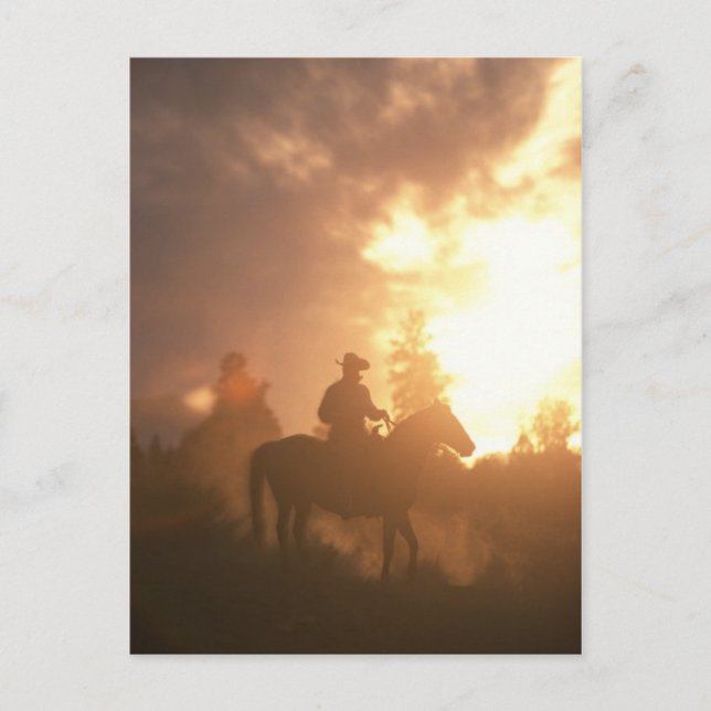 Sunset Cowboy Postcard (Front)