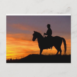 Sunset Cowboy Postcard