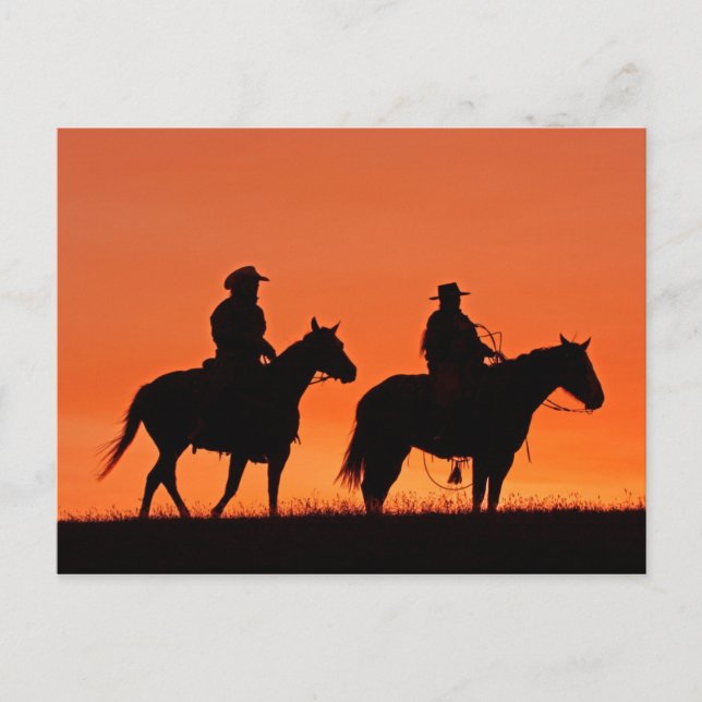 Sunset Cowboy Ride Design Postcard (Front)