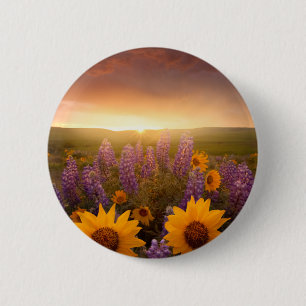 Sunset Daisies 2 Inch Round Button