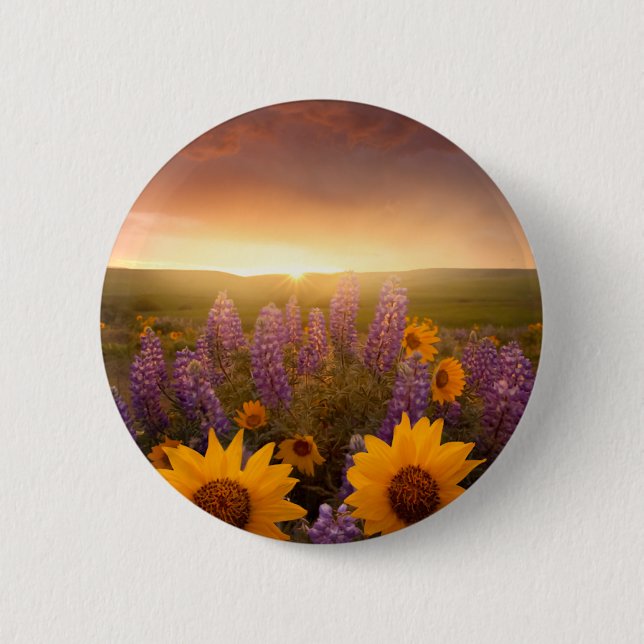 Sunset Daisies 2 Inch Round Button (Front)