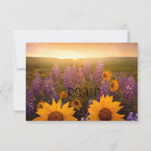 Sunset Daisies RSVP Card