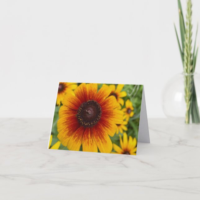 Sunset Daisy Fine Art Photography Folded Note Card (Front)