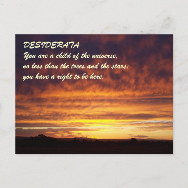 Sunset DESIDERATA Postcard (Front)