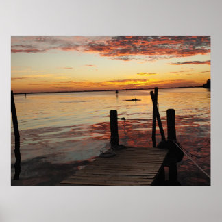 Sunset Dolphins  Poster