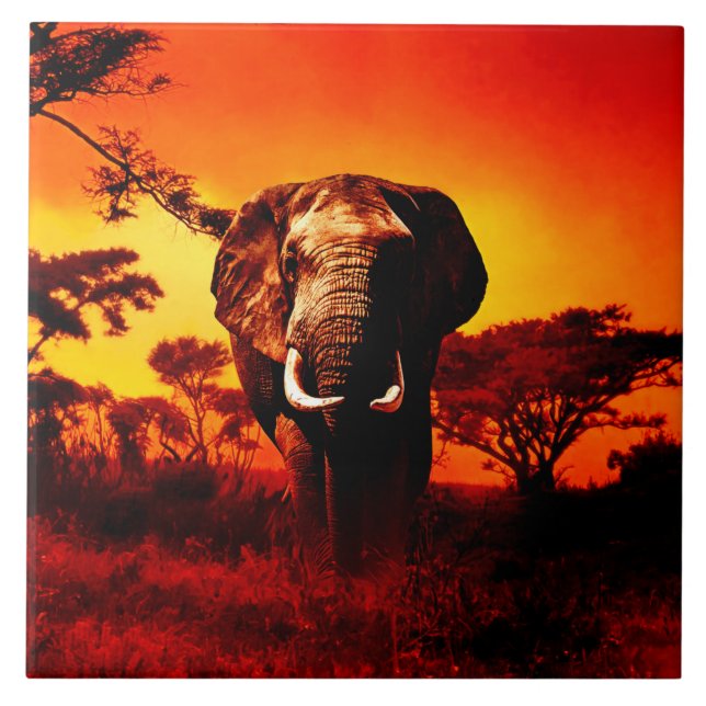 Sunset Elephant Tile (Front)