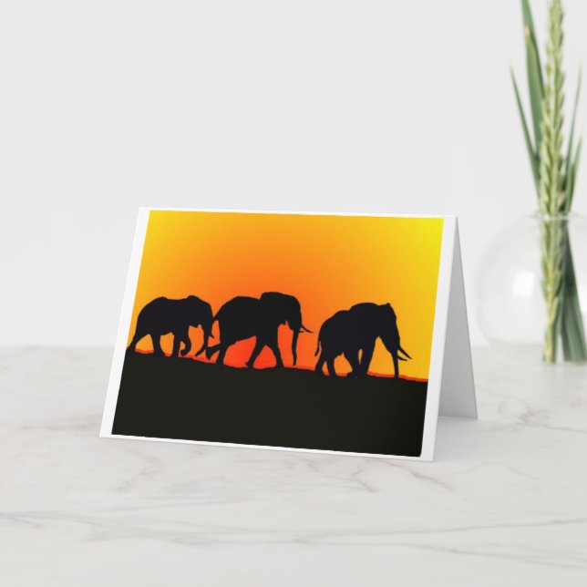Sunset Elephants Birthday Card (Front)