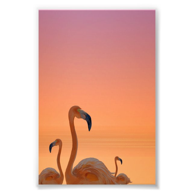 Sunset Flamingo Tropical Poster (Front)