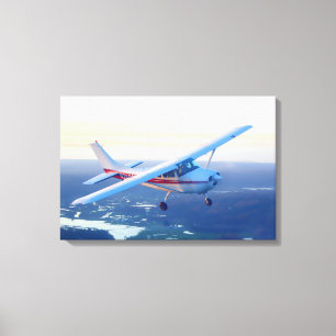 Sunset Flight Canvas Print