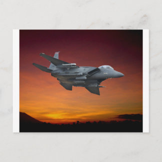 Sunset Flight Postcard
