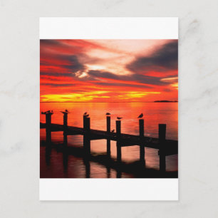 Sunset Fort Myers Prom Florida Postcard
