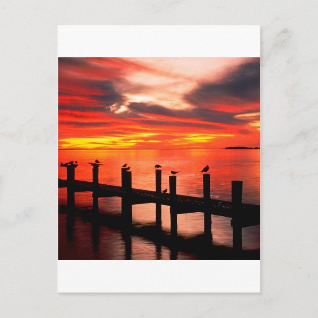 Sunset Fort Myers Prom Florida Postcard (Front)