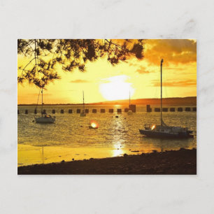 Sunset from Hayling Island Postcard