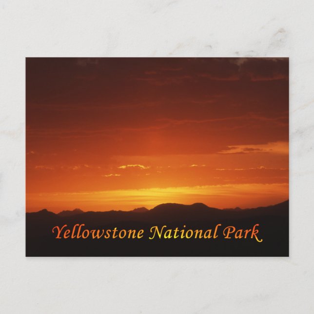 Sunset from Mt. Washburn Postcard (Front)