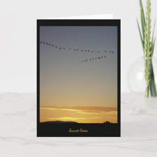 Sunset Geese Card