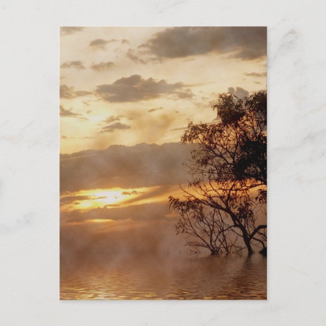 Sunset Glory Postcard (Front)