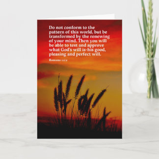 Sunset Hay Bible Verse Romans 12:2 Card