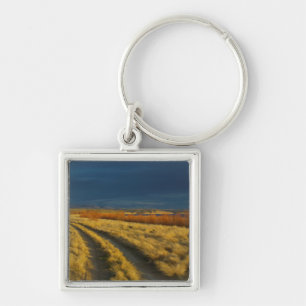 Sunset highlights the red bark of bushes keychain