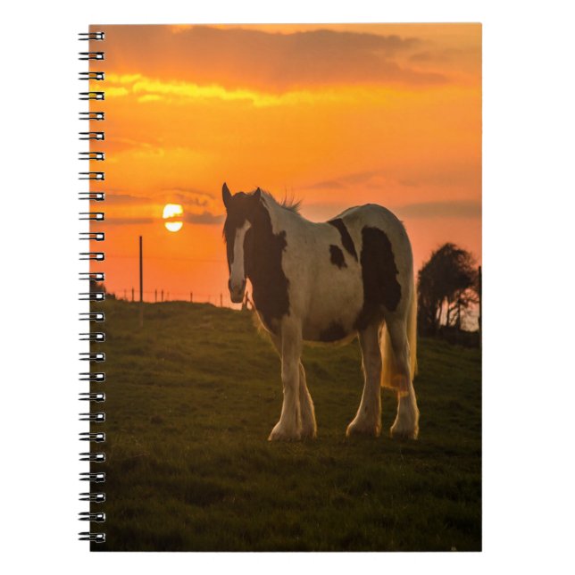 Sunset Horse Notebook (Front)