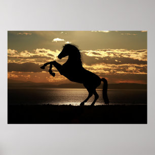sunset horse poster
