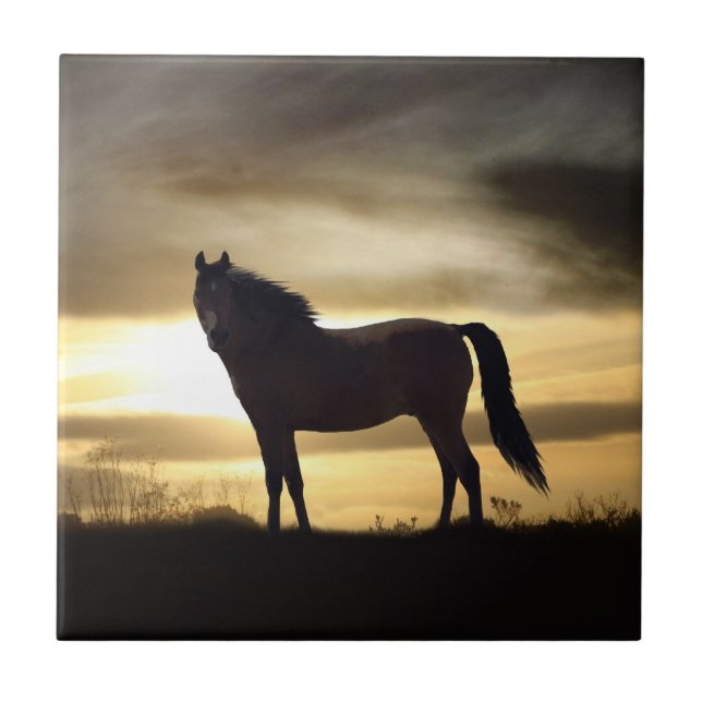 Sunset Horse SIlhouette Gift Tile (Front)