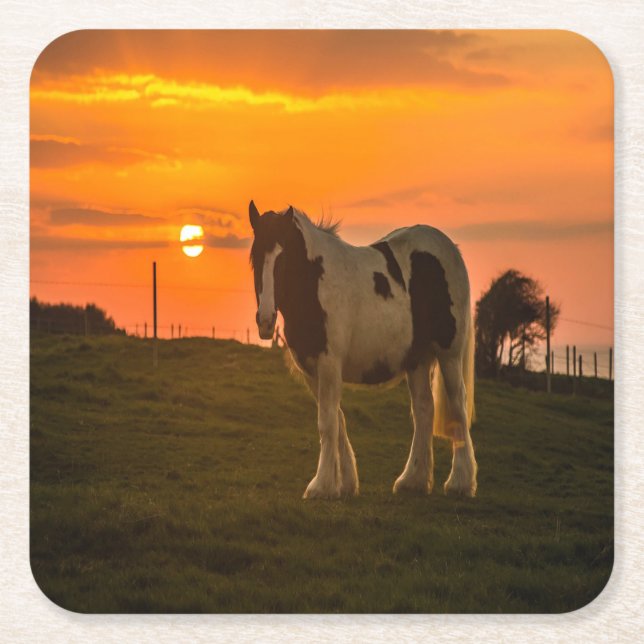 Sunset Horse Square Paper Coaster (Front)