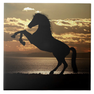 sunset horse tile