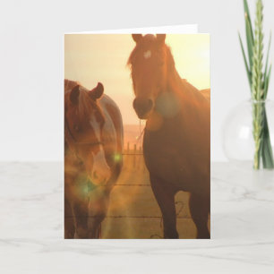 Sunset Horses Greeting Card