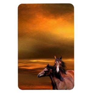Sunset horses magnet