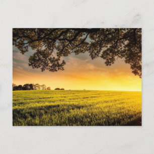 Sunset in a Rural Field Landscape Postcard