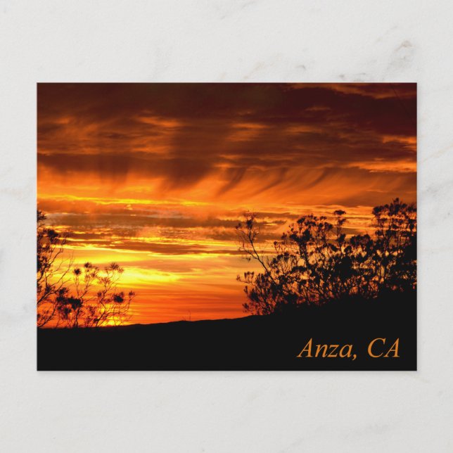 Sunset in Anza, California Postcard (Front)