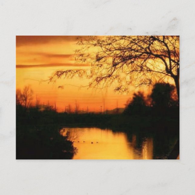 Sunset in az in orange and black postcard (Front)