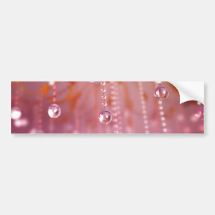 Sunset in Crystal Bumper Sticker
