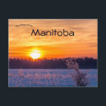 Sunset in Lake Audy Manitoba Postcard<br><div class="desc">This postcard features a sunset in the village of Lake Audy,  Manitoba,  Canada.

Enjoy your new Sunset in Lake Audy Manitoba Postcard!</div>