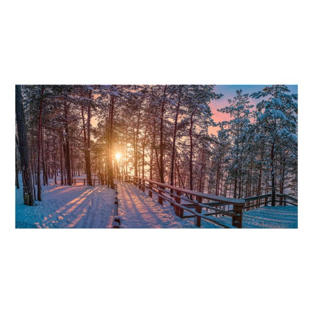 Sunset in snowy pine forest with sun ray photo print (Front)