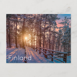 Sunset in snowy pine forest with sun ray postcard