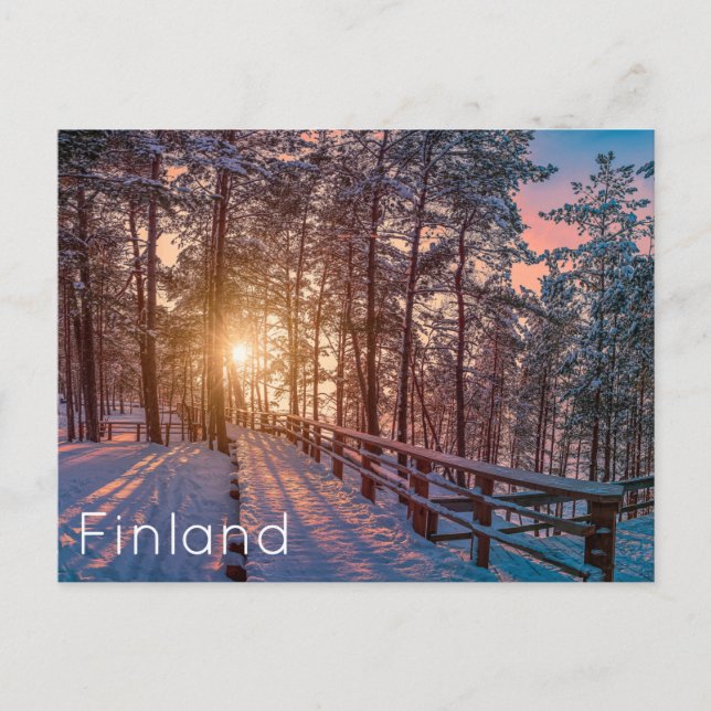Sunset in snowy pine forest with sun ray postcard (Front)