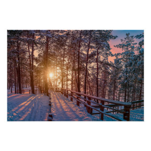 Sunset in snowy pine forest with sun ray poster