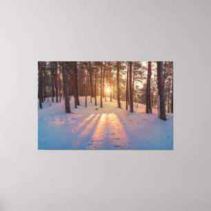 Sunset in snowy winter pine forest canvas print